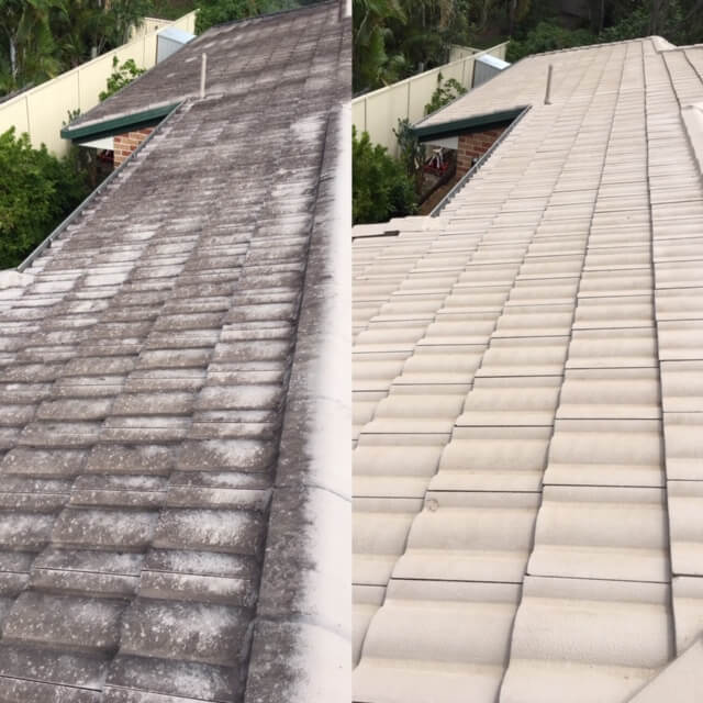 Roof Washing
